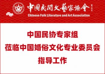 中国民协专家组莅临中国婚俗文化专业委员会指导工作